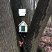 This fairy house is tucked into a tree on the SUNY Canton Island. Fairy house on the SUNY Canton trail