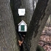 Fairy house on the SUNY Canton trail