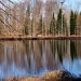 Lost Pond Trail. Photo: Bill Hill, 2019 Lost Pond Trail. Photo: Bill Hill, 2019